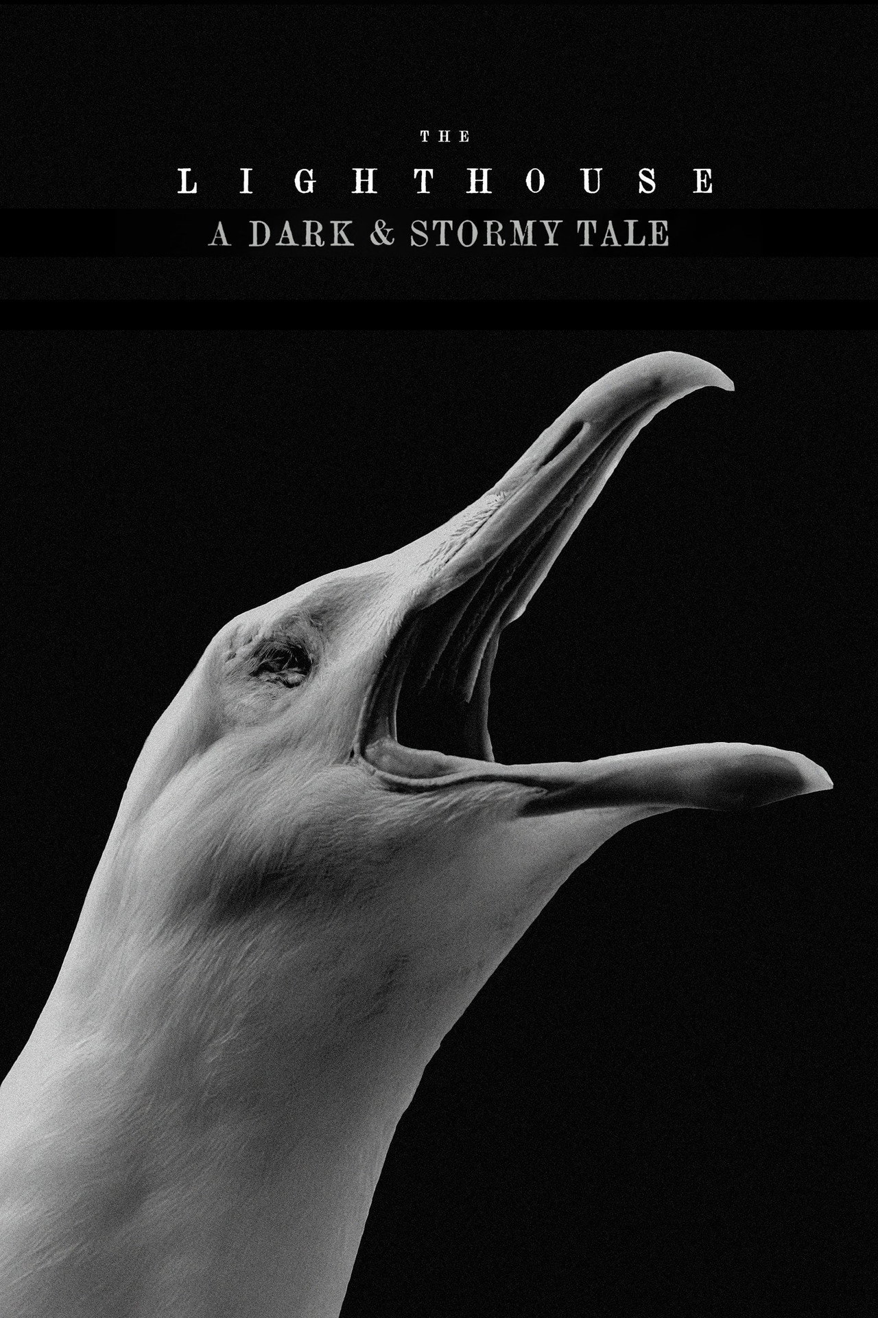 Pôster de The Lighthouse: A Dark & Stormy Tale