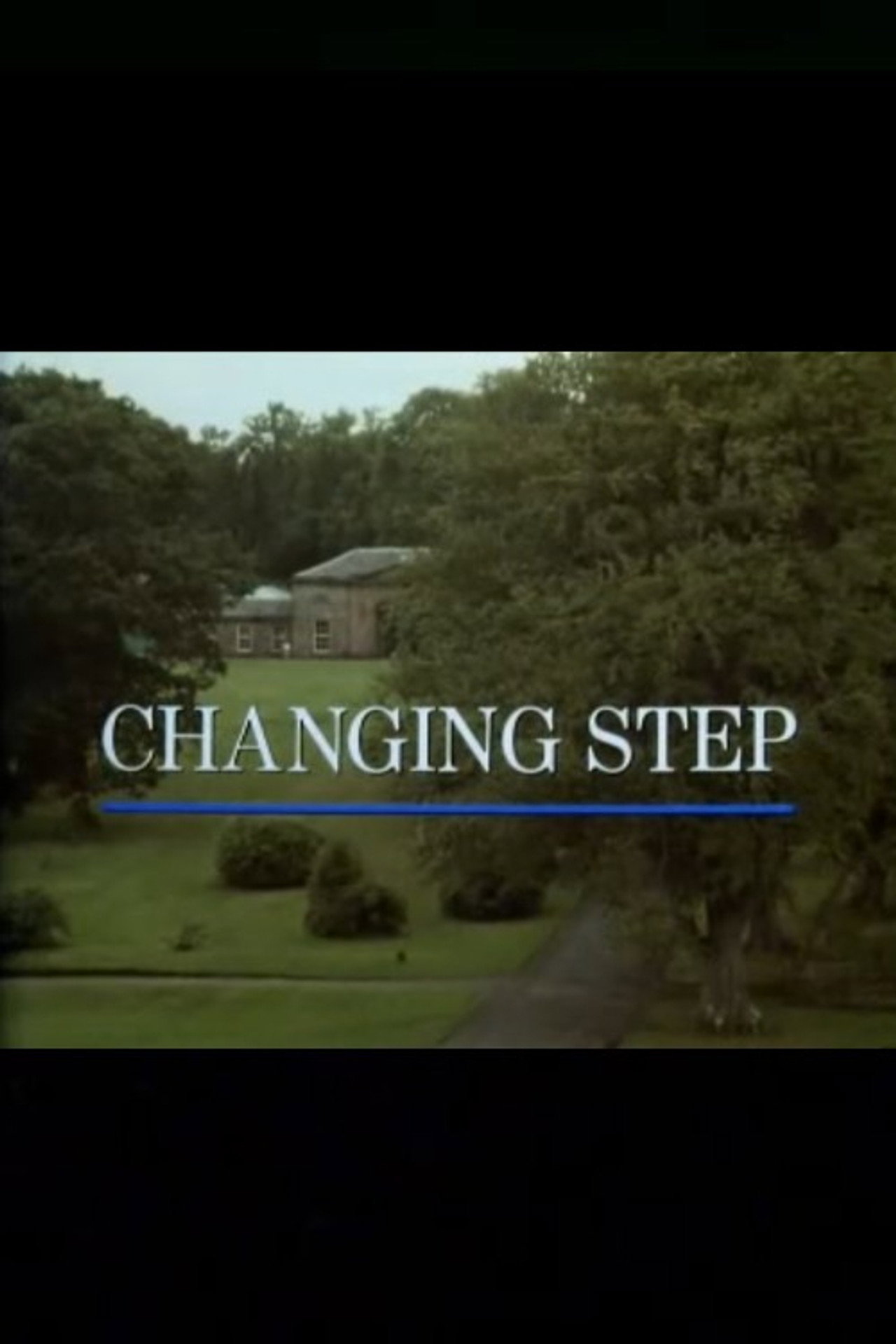 Pôster de Changing Step