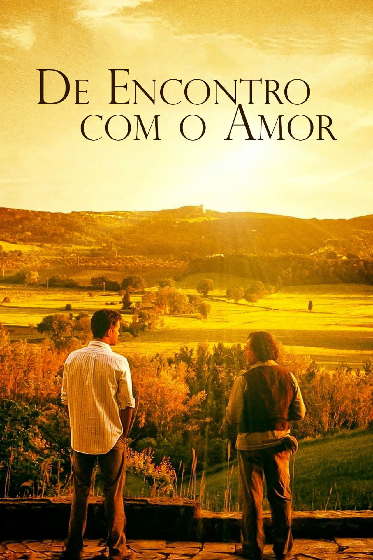 Pôster de De Encontro com o Amor