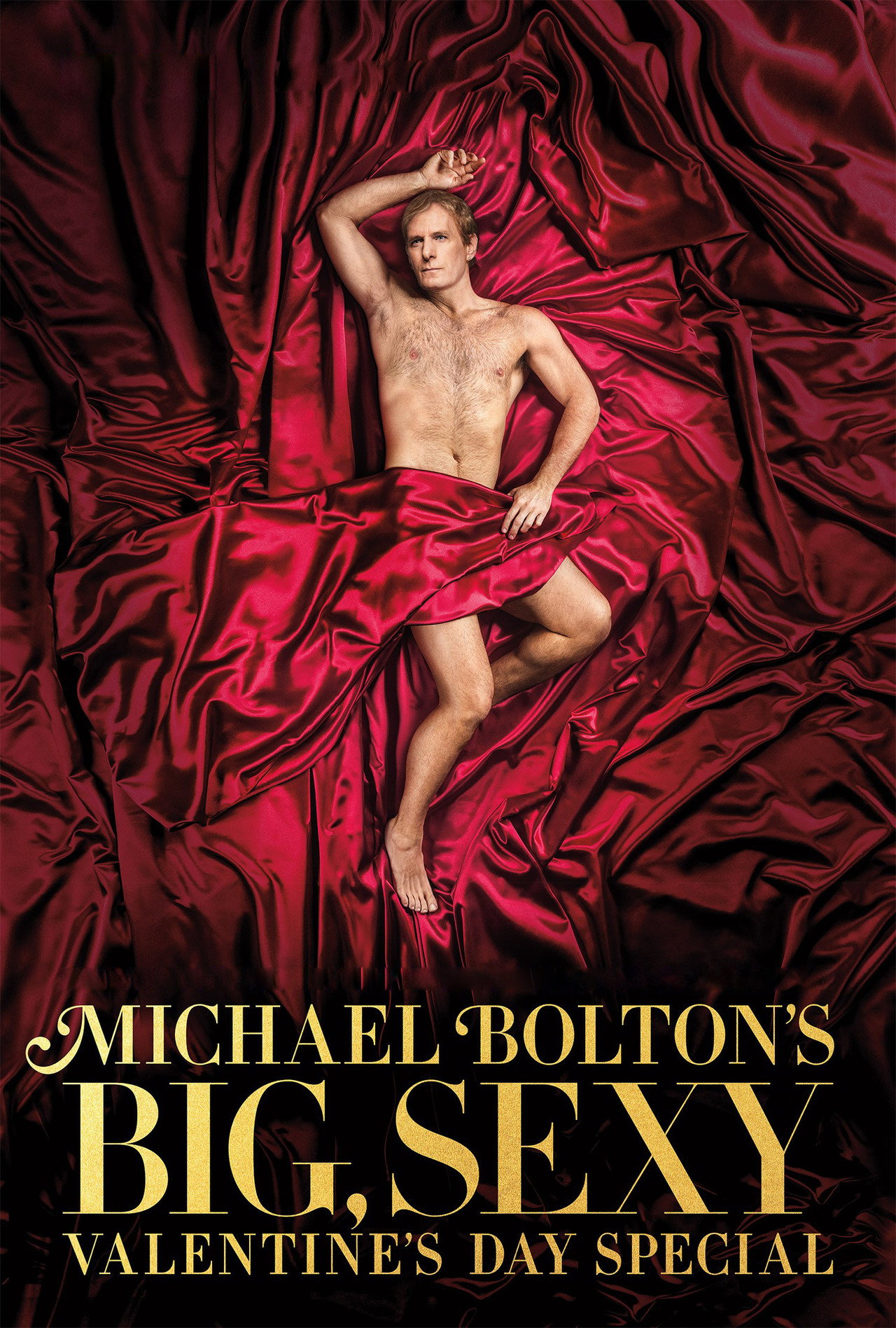 Pôster de Michael Bolton's Big, Sexy Valentine's Day Special