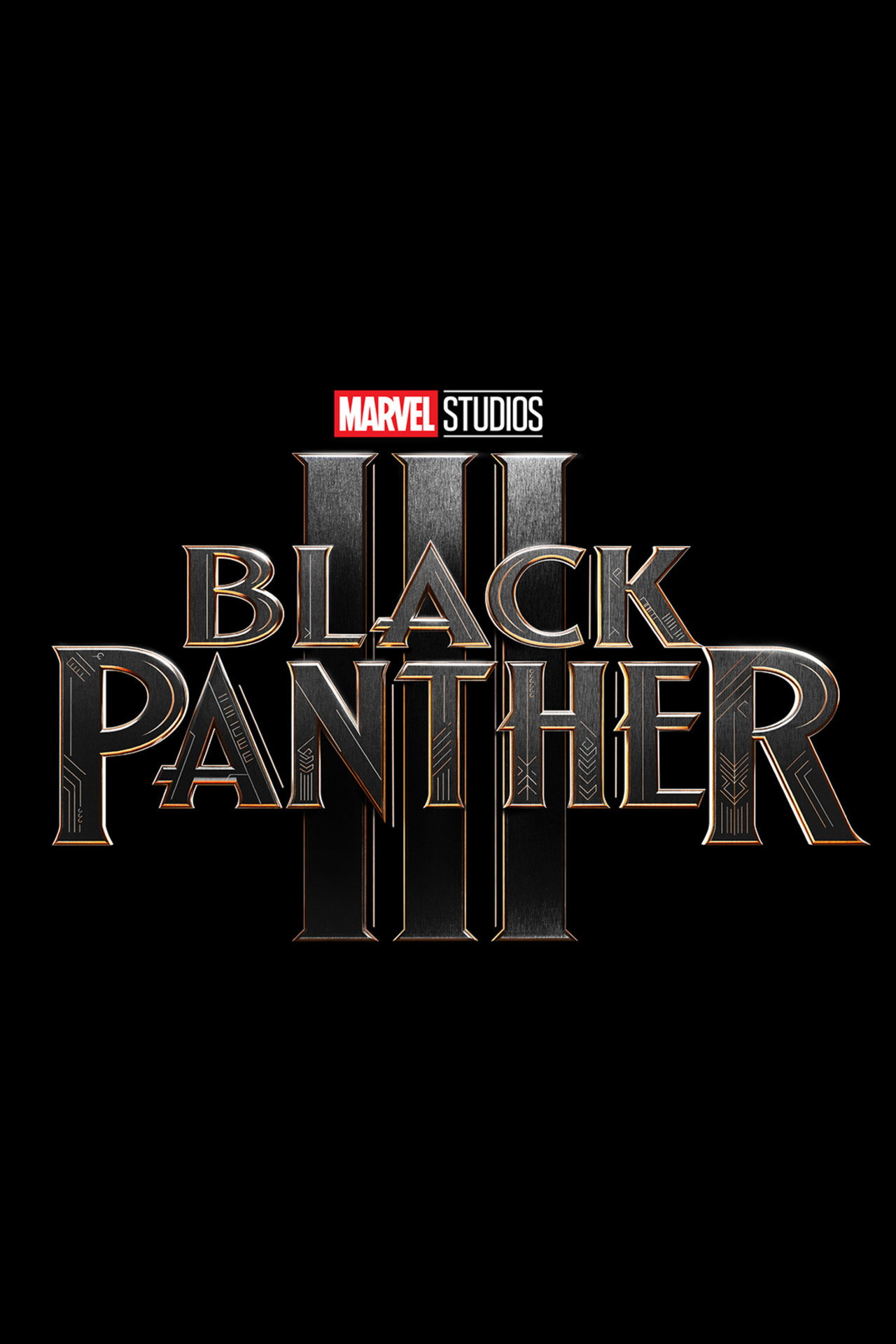 Pôster de Black Panther 3