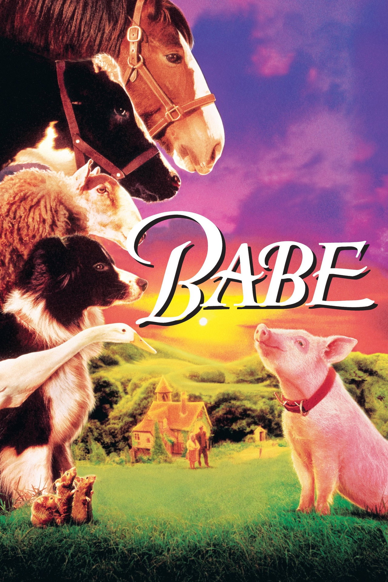 Pôster de Babe
