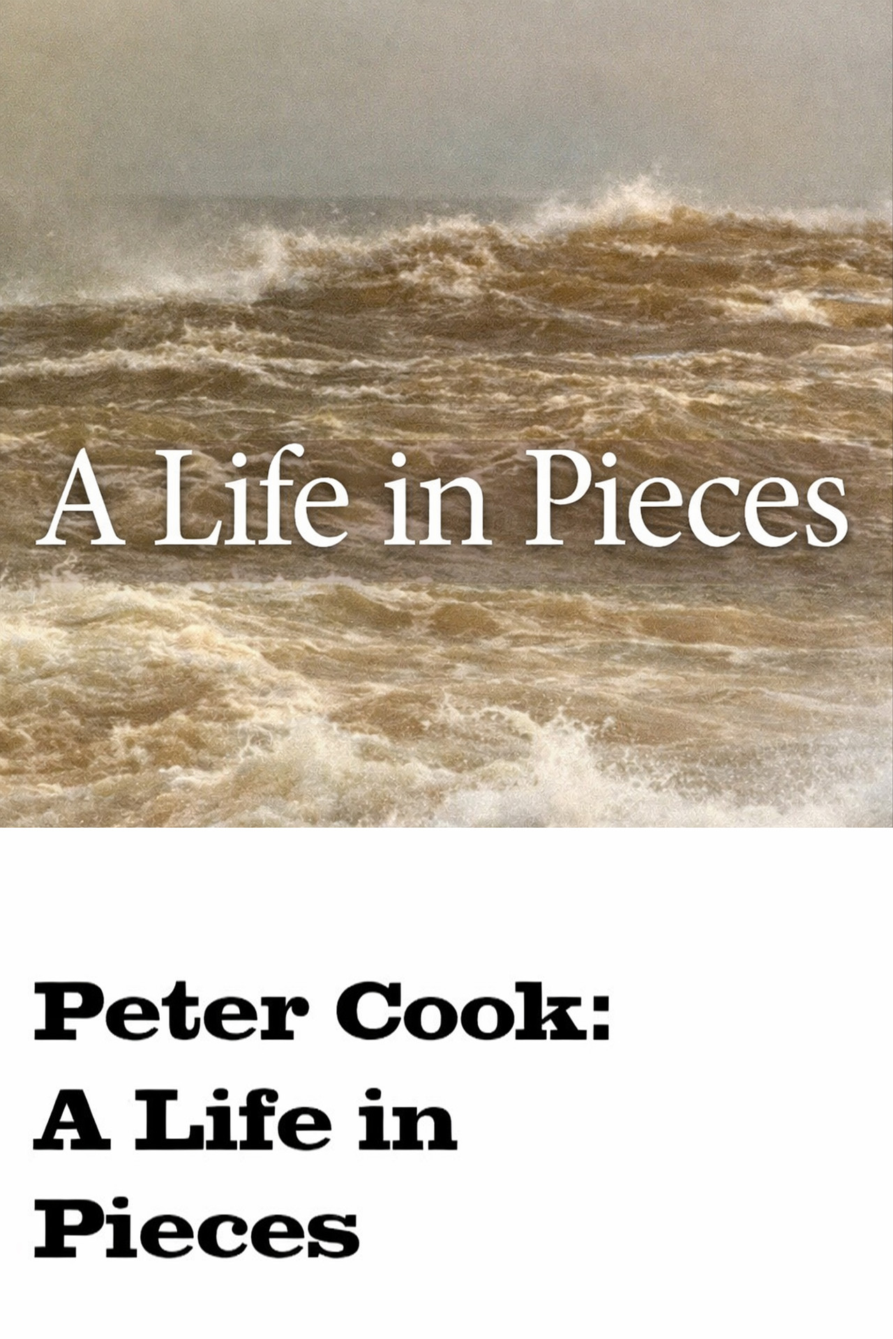 Pôster de A Life in Pieces