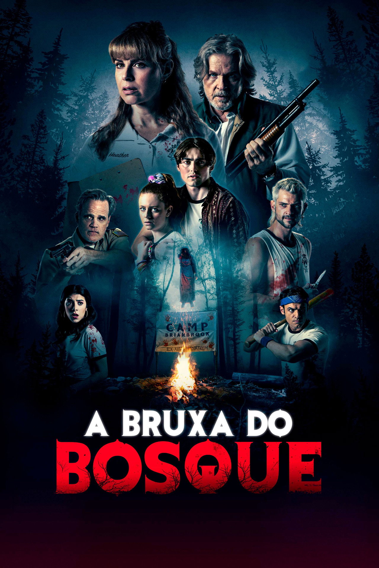 Pôster de A Bruxa do Bosque