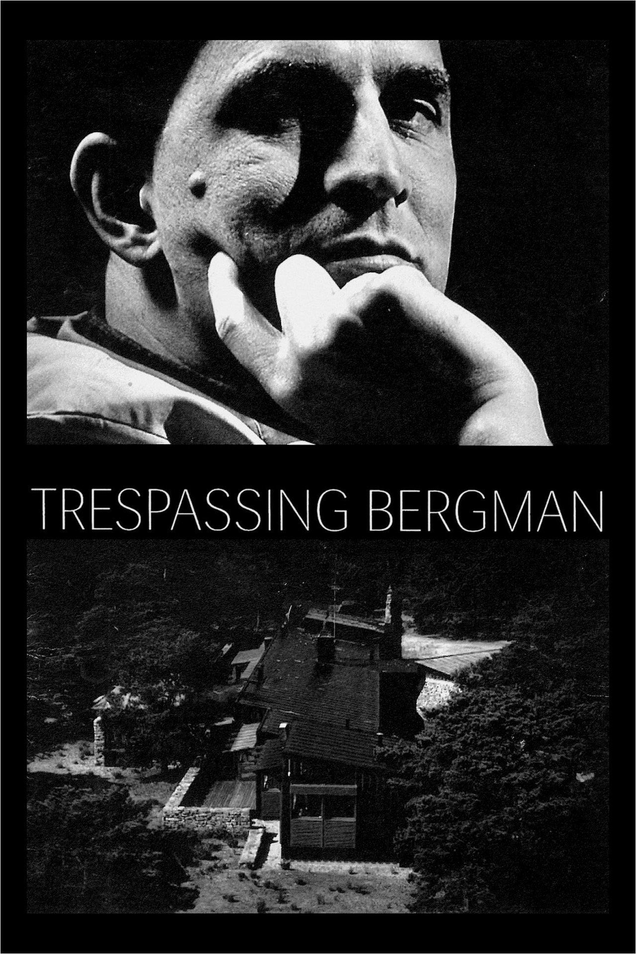 Pôster de Trespassing Bergman