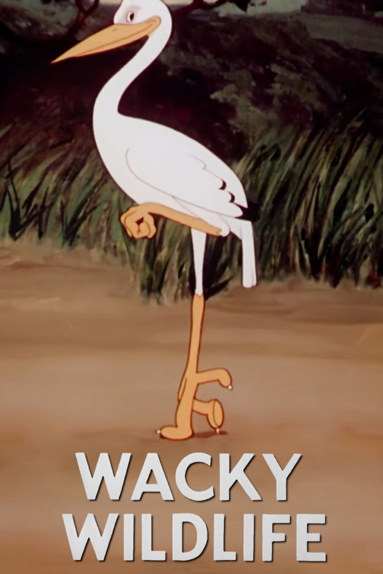 Pôster de Wacky Wildlife