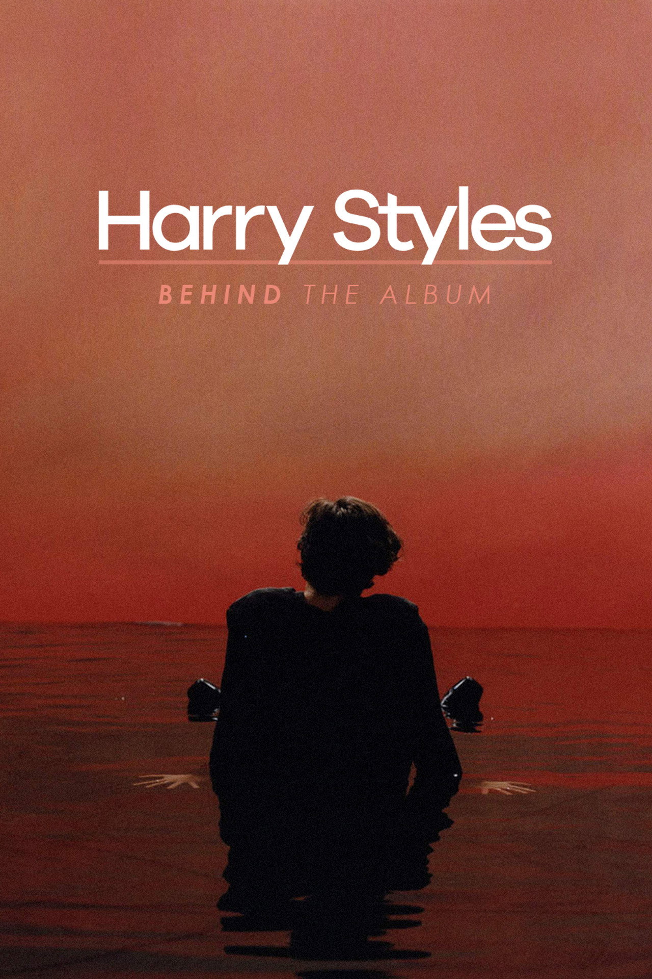 Pôster de Harry Styles: Behind the Album