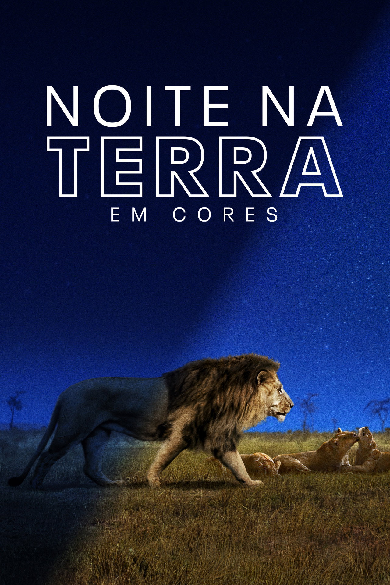 Pôster de Noite na Terra em Cores