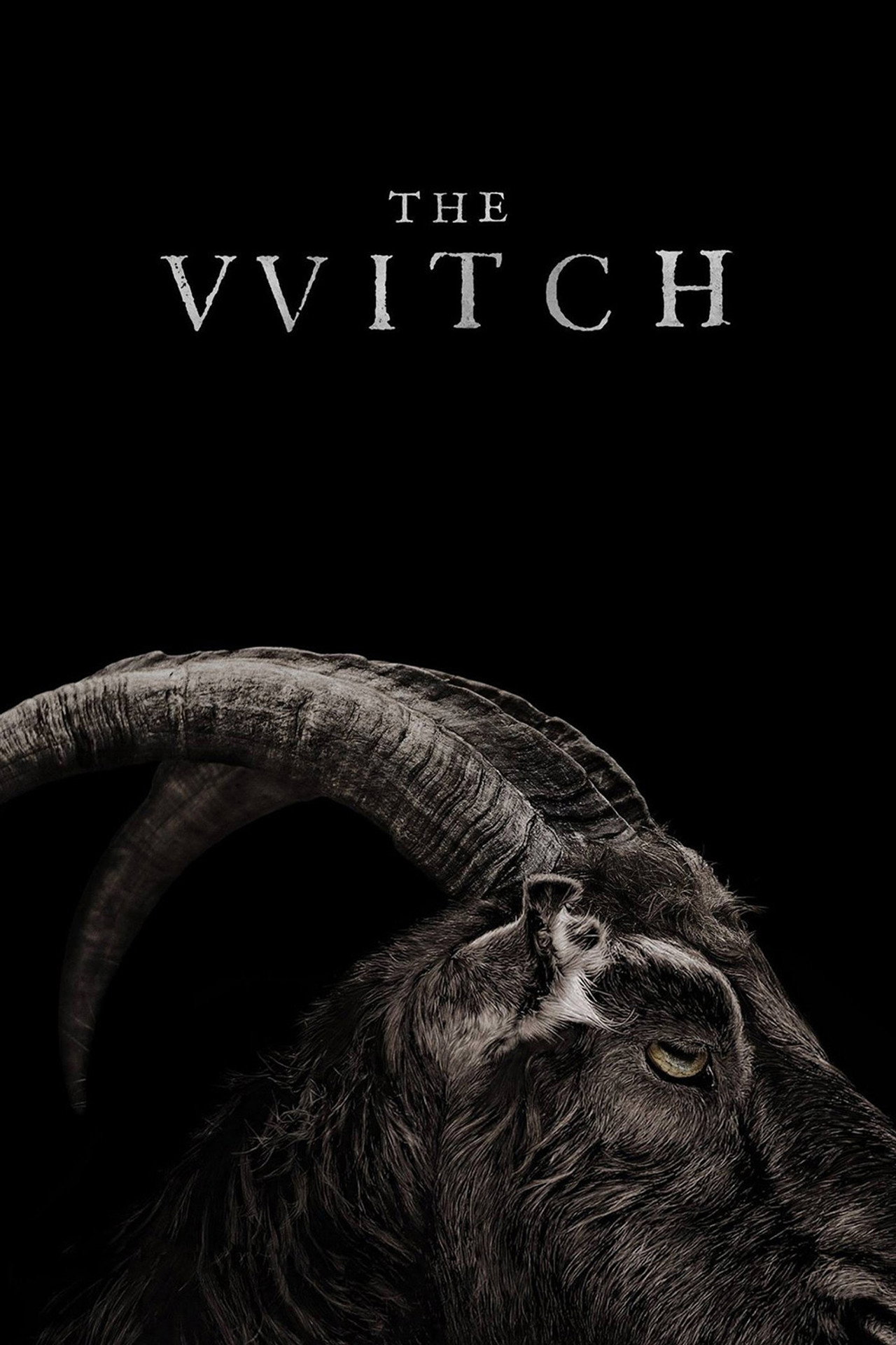 Pôster de The Witch