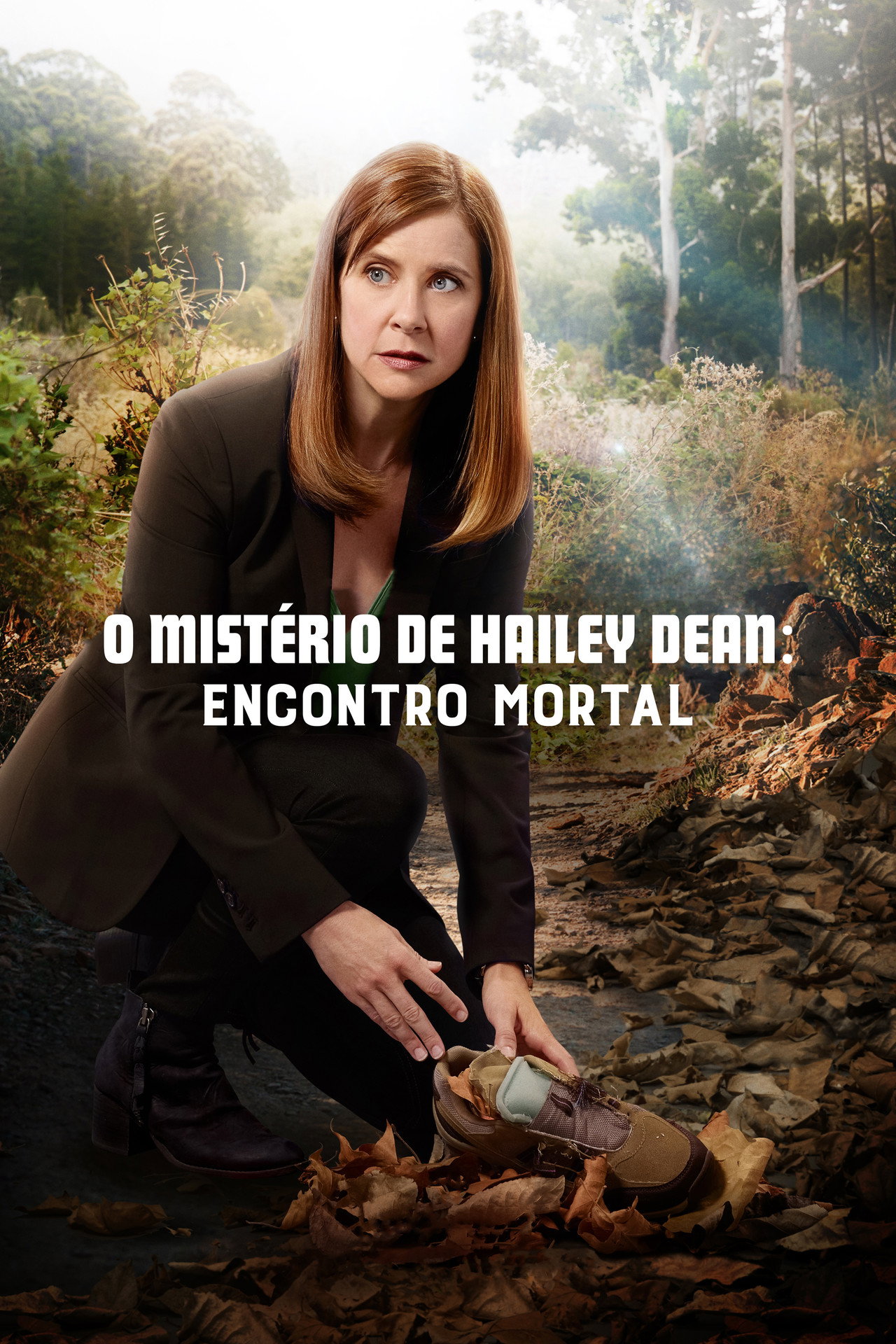 Pôster de O Mistério de Hailey Dean: Encontro Mortal