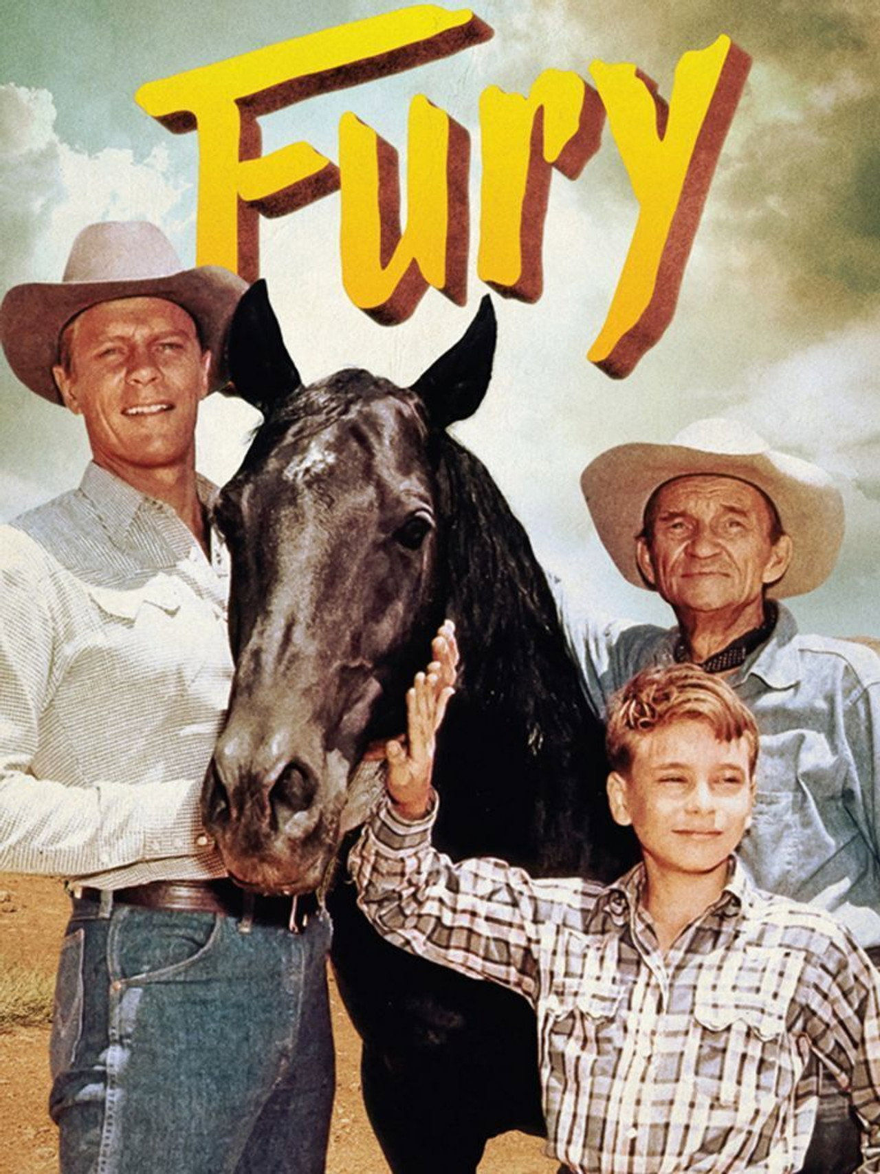 Pôster de Fury