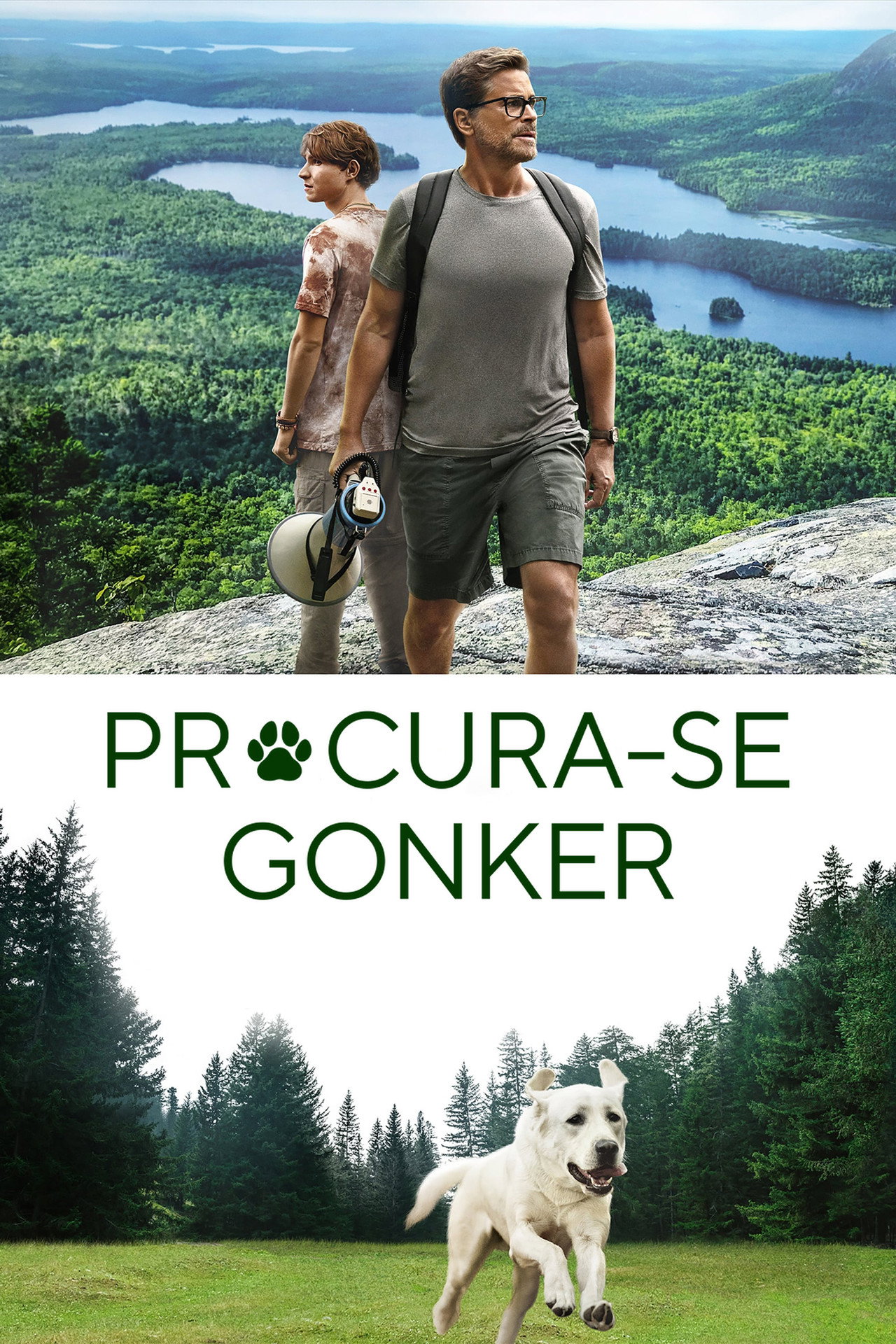 Pôster de Procura-se Gonker