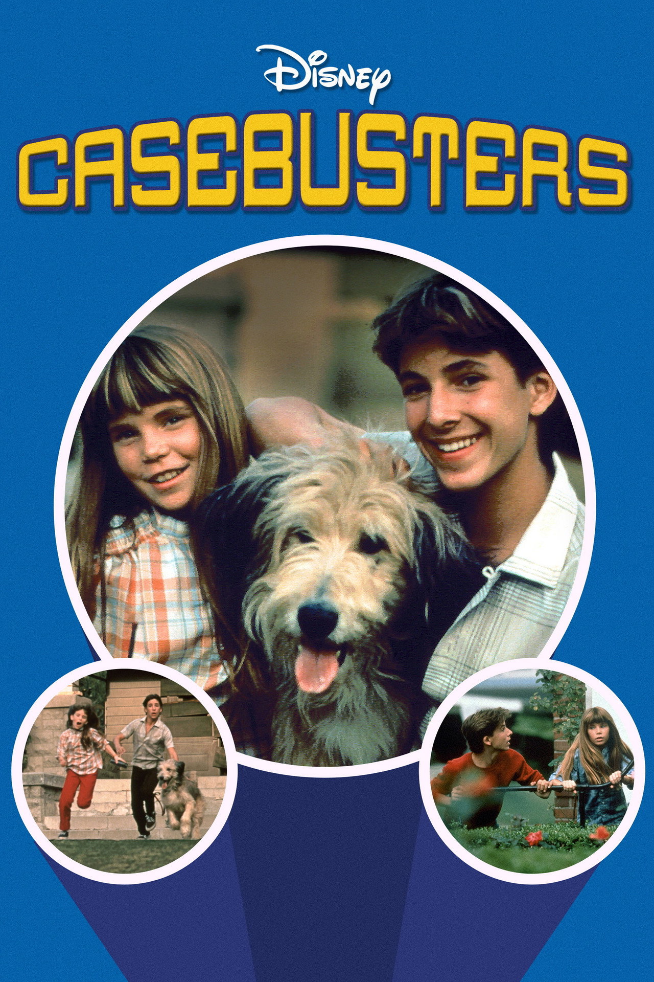 Pôster de Casebusters
