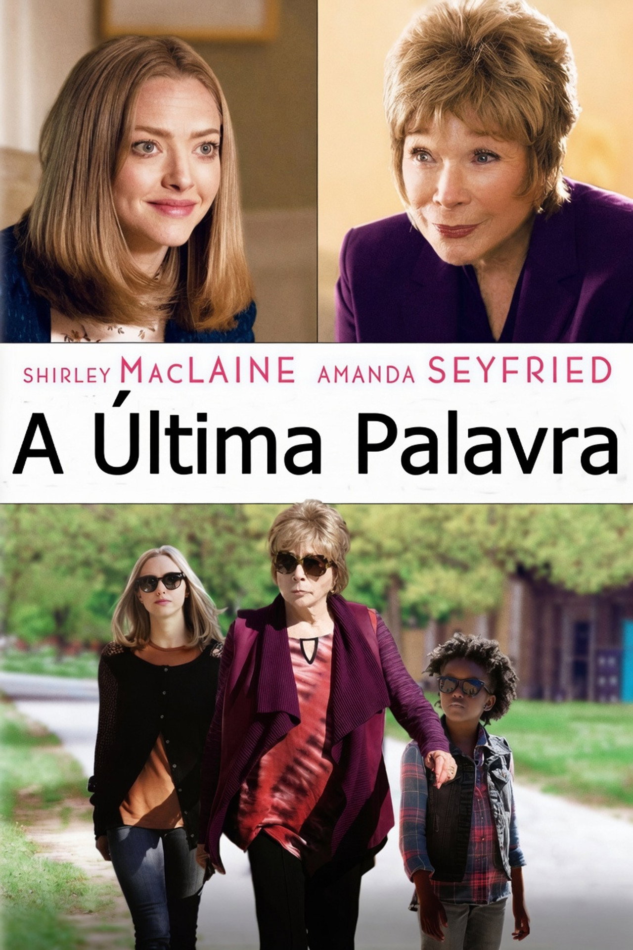 Pôster de A Última Palavra