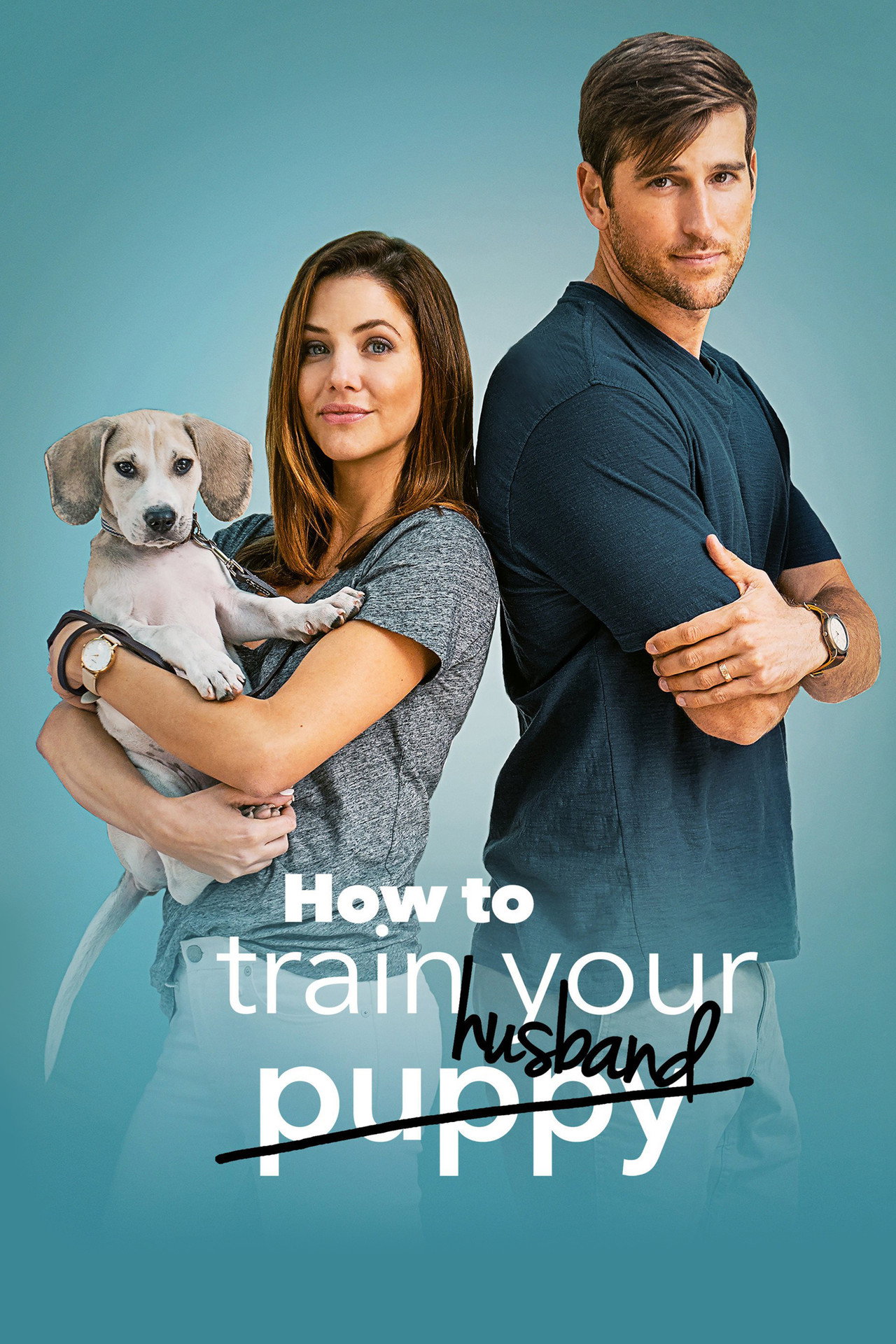 Pôster de How to Train Your Husband