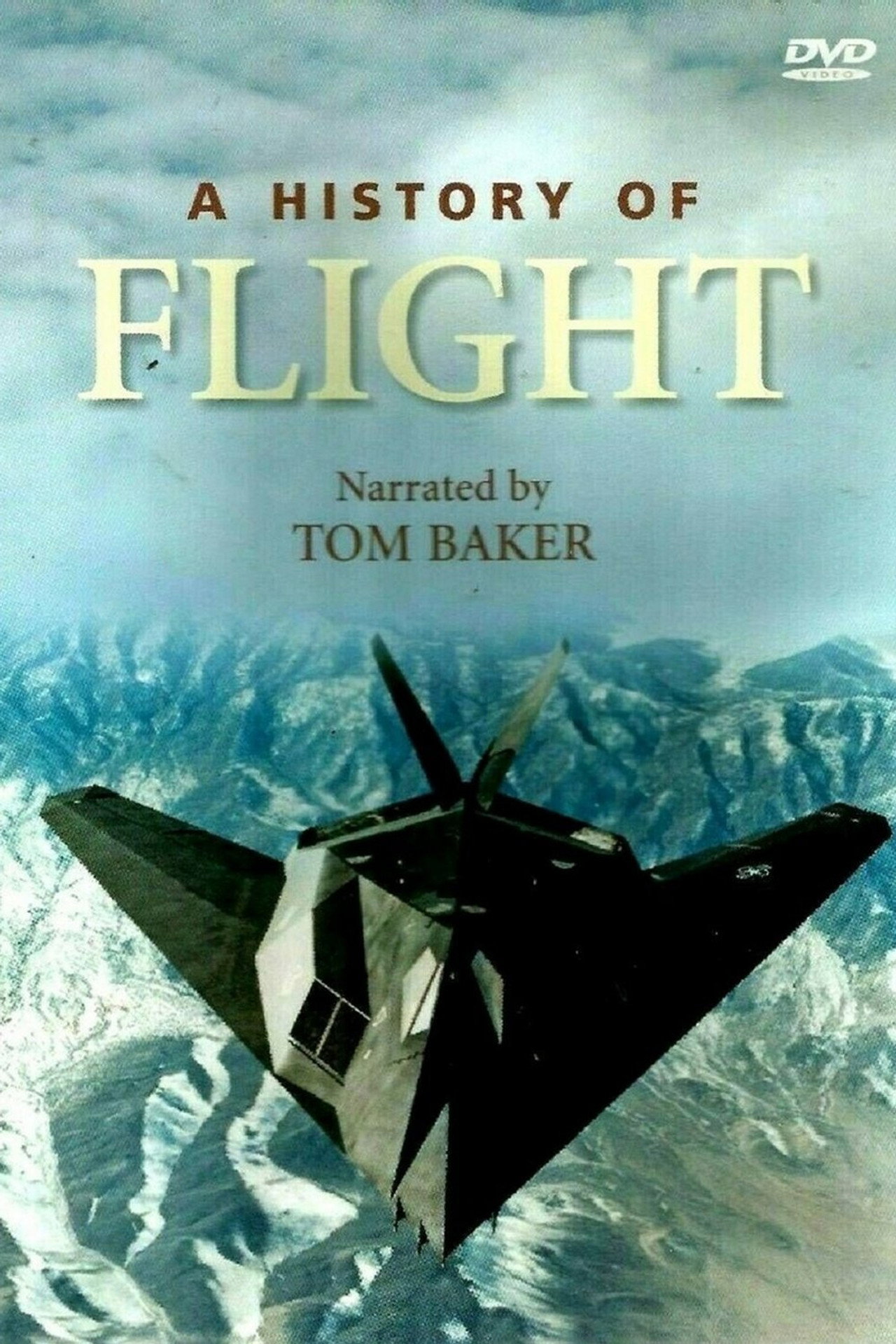 Pôster de A History of Flight