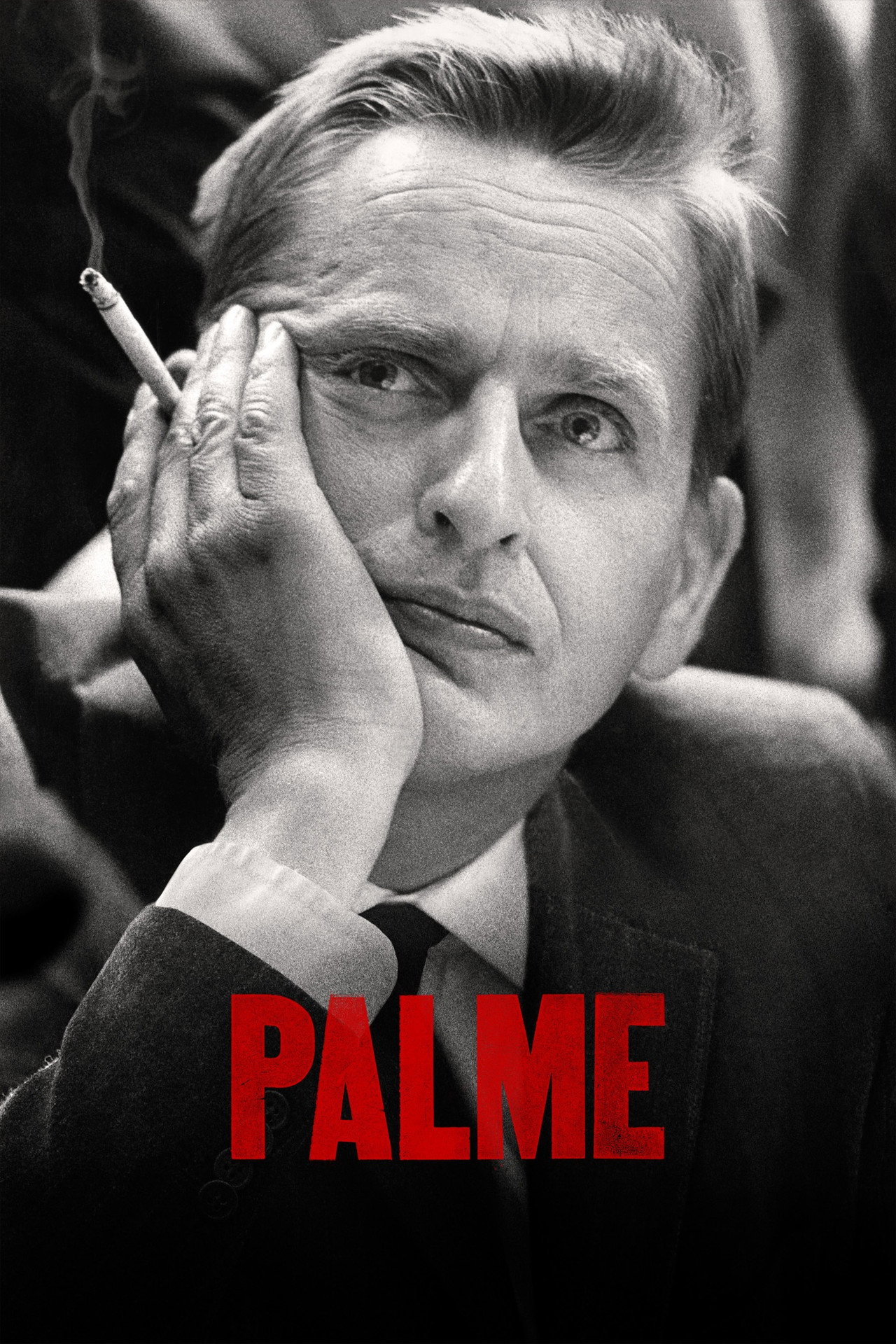 Pôster de Palme