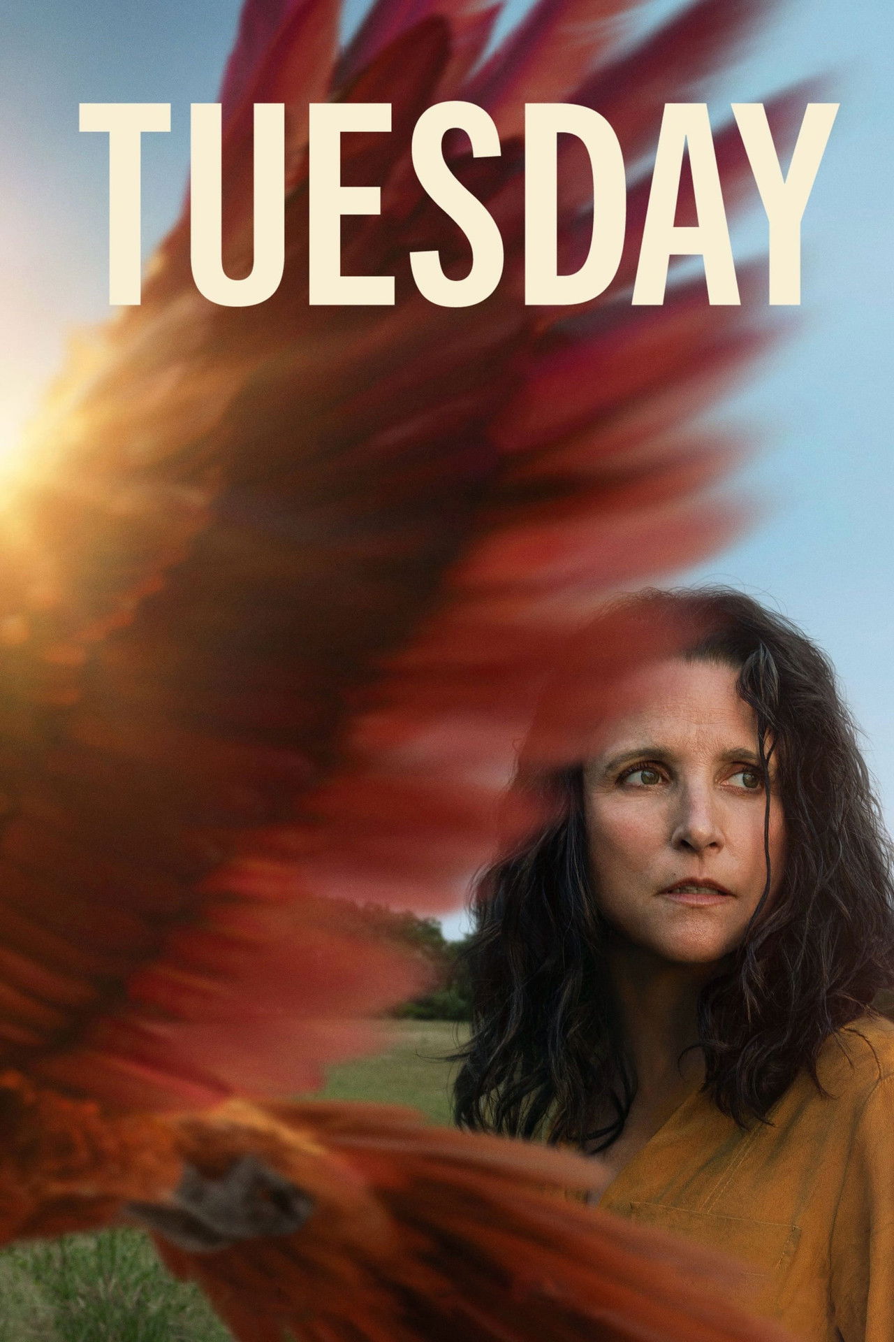 Pôster de Tuesday