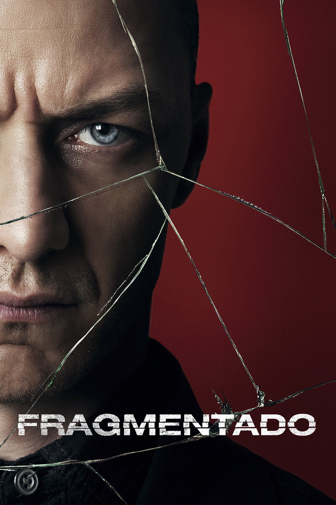 Pôster de Fragmentado