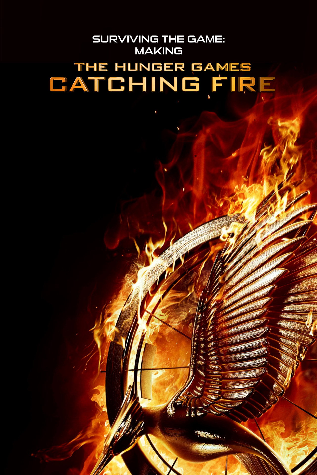Pôster de Surviving the Game: Making The Hunger Games: Catching Fire