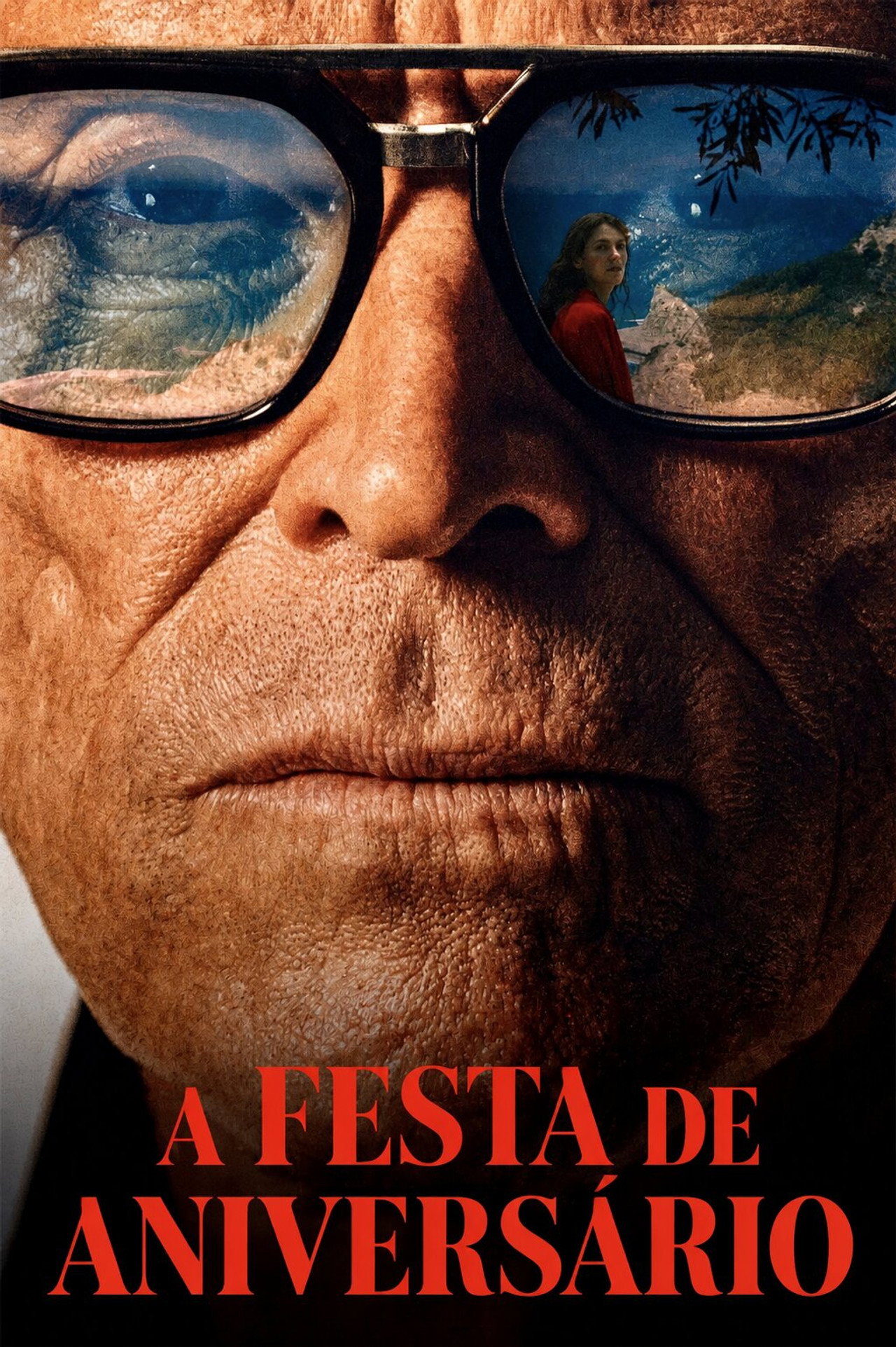 Pôster de A Festa de Aniversário